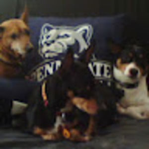 Meet your Posher, Mj